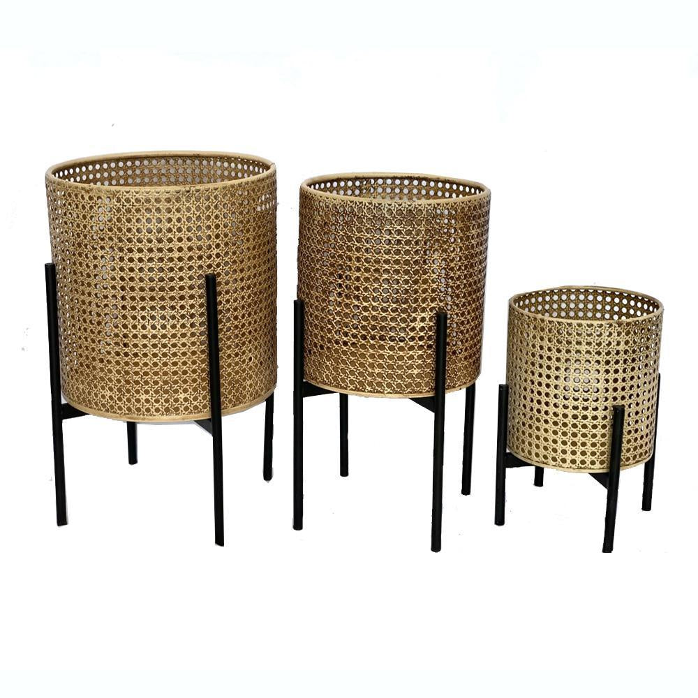 Set of 3 Natural Finish Planters الغراس