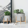 Set of 2 Grey Cement Succulent Planters on Wooden Stands الغراس