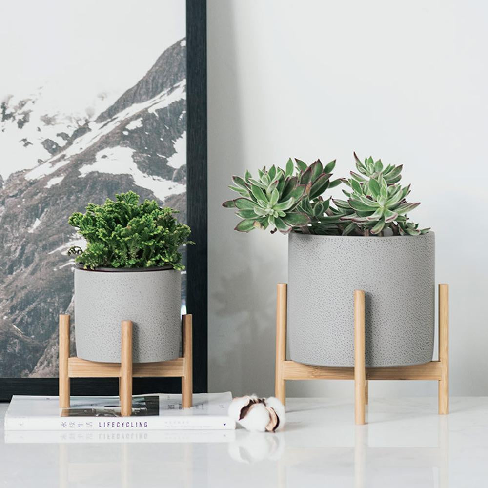 Set of 2 Grey Cement Succulent Planters on Wooden Stands الغراس