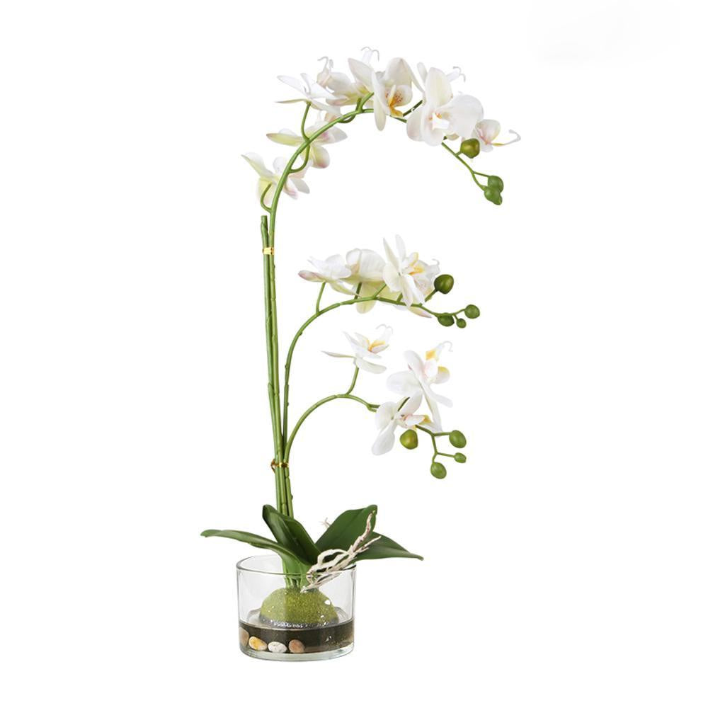 Three Stem Butterfly Orchid with Glass Pot FL-JH245