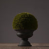 Faux Small Topiary in Urn DLP1744