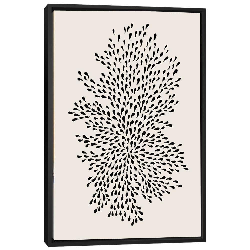 Anaya IL020 - On Sale