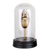 Gold Resin Beetle in Glass Dome ديكور المنزل