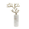 Gold Coral Décor on Glass Base - Small ديكور المنزل