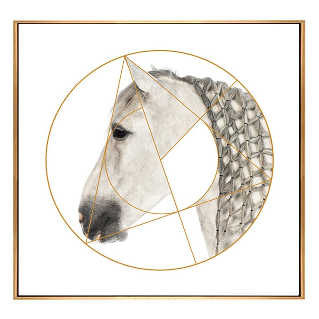 Black and White Horse Portrait with Gold Detail - Framed Canvas Print B FL-H218B