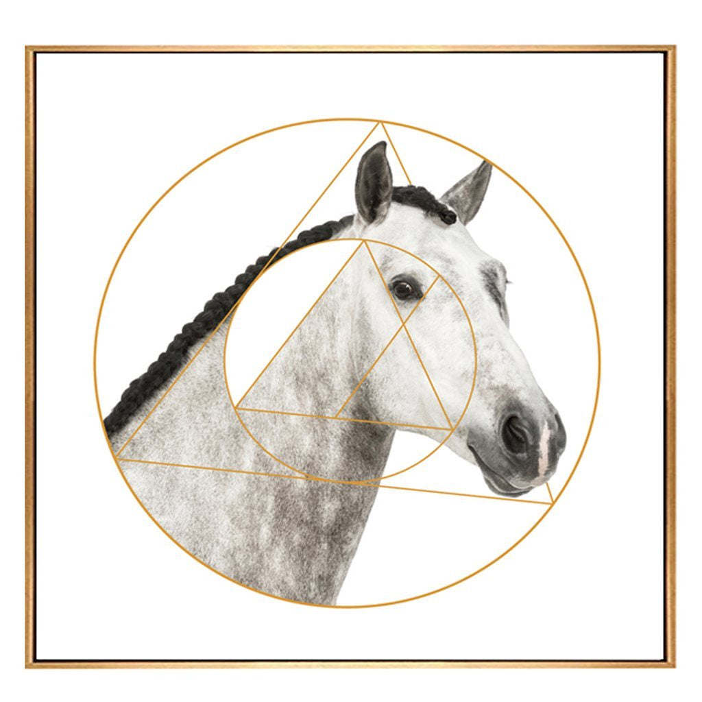 Black and White Horse Portrait with Gold Detail - Framed Canvas Print D FL-H218D