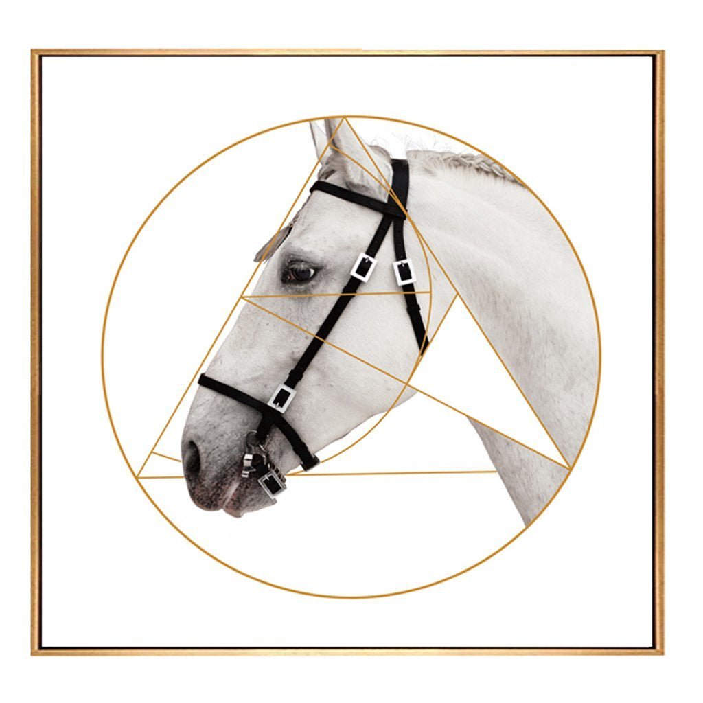 Black and White Horse Portrait with Gold Detail - Framed Canvas Print A FL-H218A