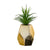 Faux Succulent in Gold Ceramic Mini Planter DHL15166A