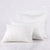Feather Cushion Insert RB070